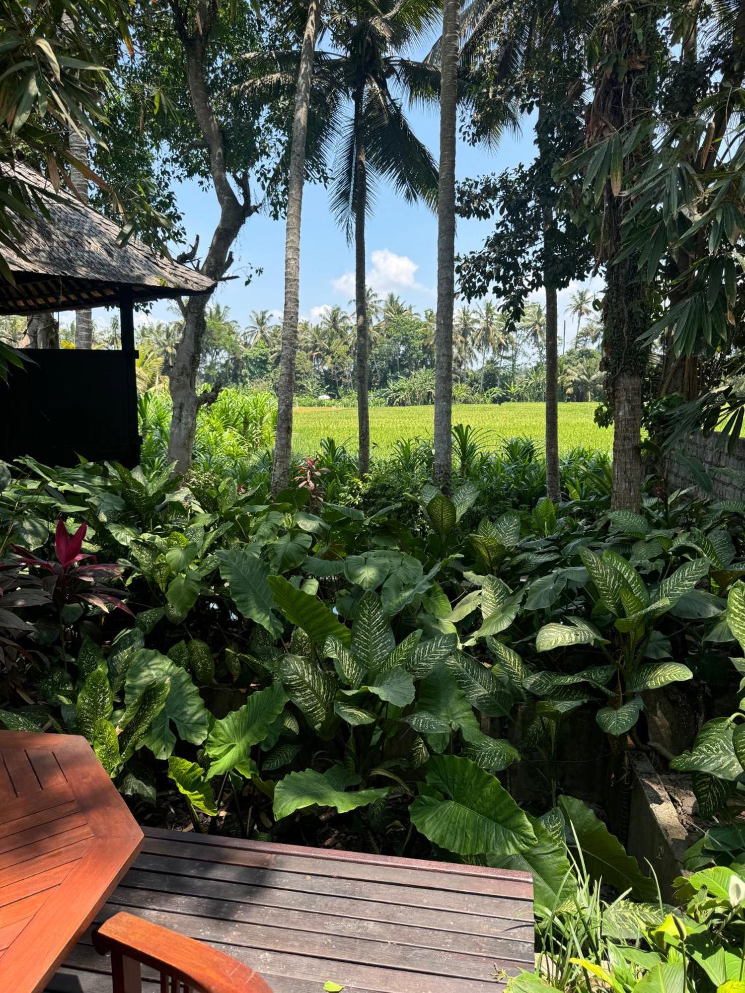 Villa Pantulan Bali Pagetan Zewnętrze zdjęcie